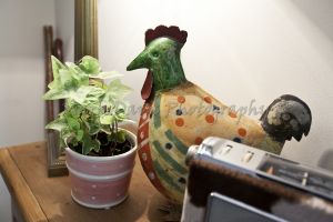 rosemary cottage 10.jpg